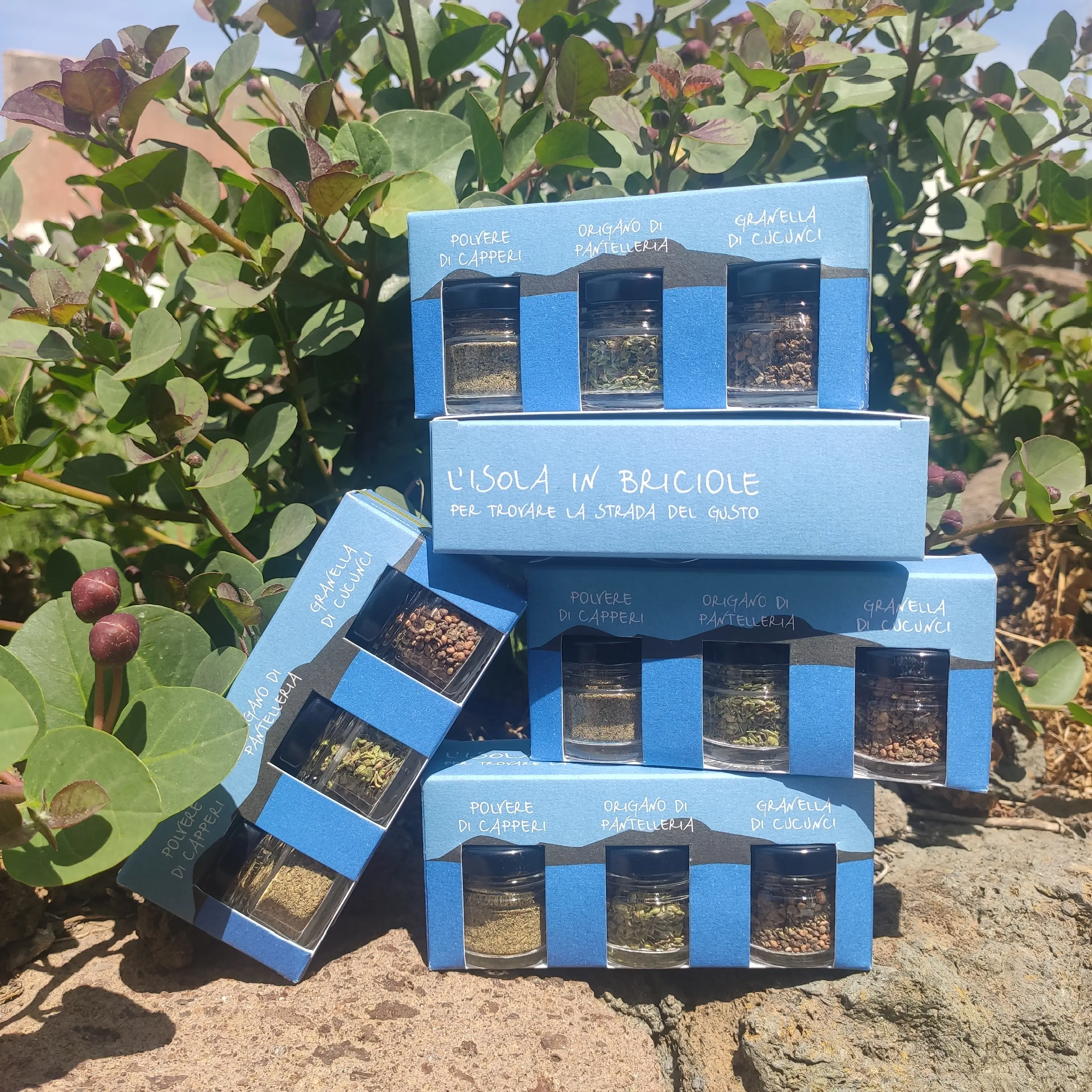 Pantelleria set korenia, 21 g